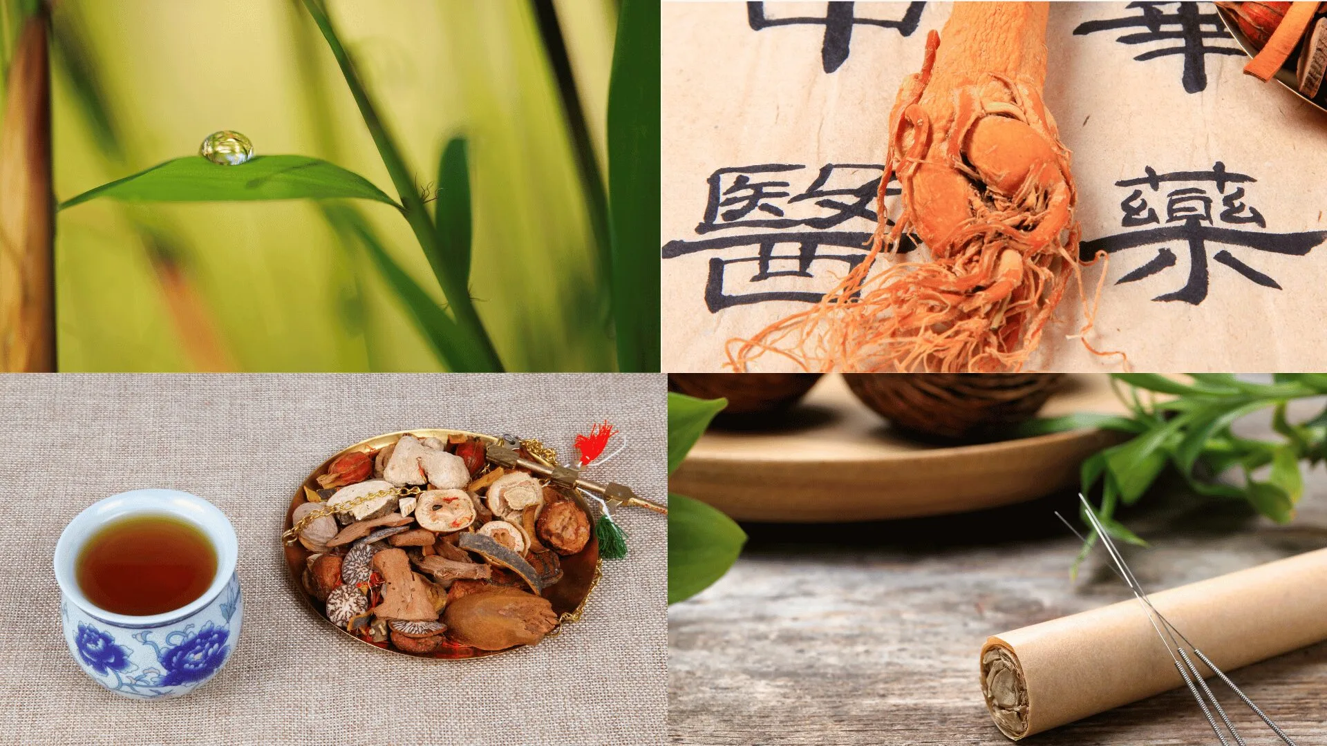 TCM München Schwabing