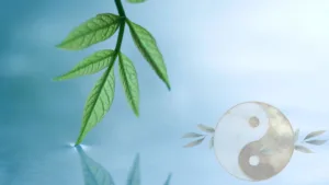 PMS Psyche 9 Meditative Psychotherapie